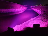 户外防水LED城市之光